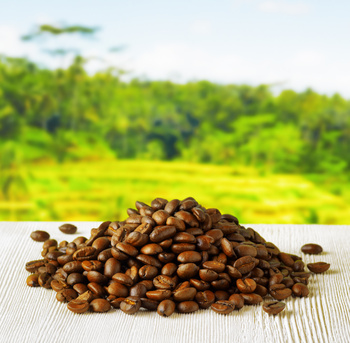 Coffee farmland investing provide high cash flows and international diversification through a renewable resource.