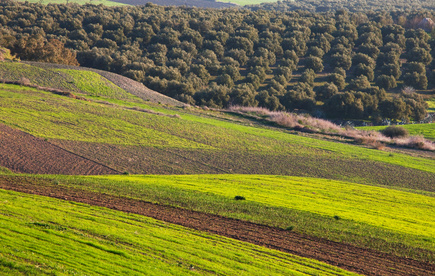 Land can be a great place to store long term or generational wealth.