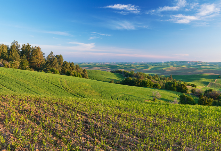 10 Reasons to Invest in Farmland Today
