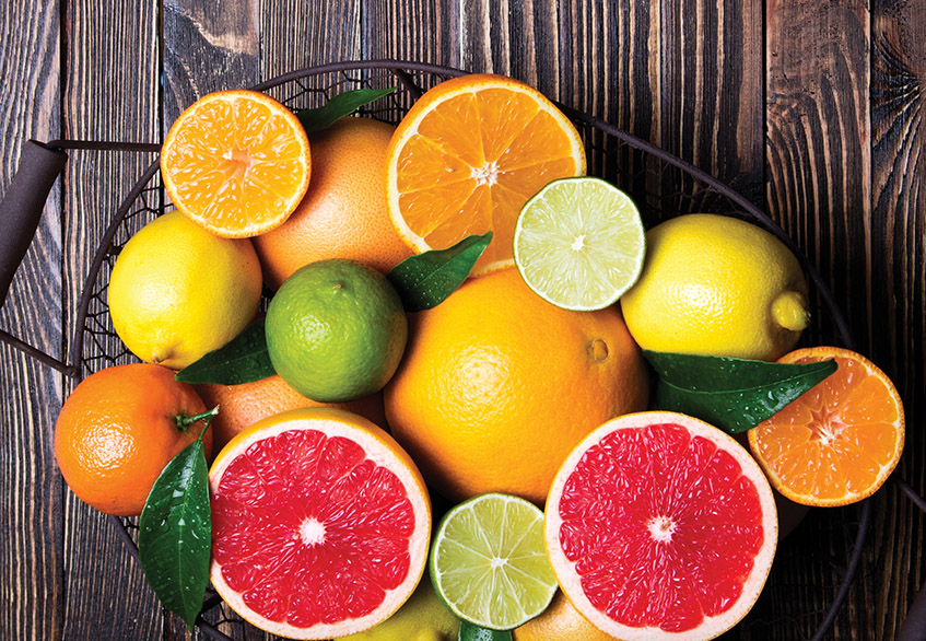 Citrus Fruits in Paraguay – Investments that Grow Naturally