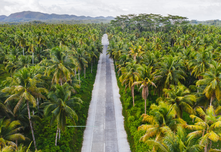 Agribusiness in Belize: Why the Wealthiest 1% Invest in Agriculture