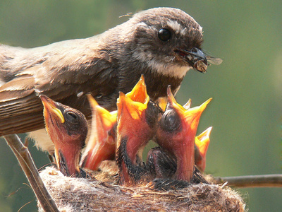 More mouths to feed means perpetual demand for food and famrland